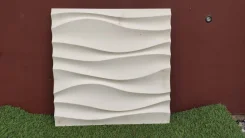 ������ ������������. ����