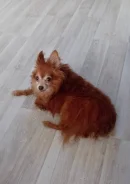 ������. ����