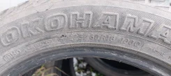 Yokoma. ������, ��� �����, 2014 ���, �/�, ����� 50 % ����