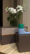 ��������. ����