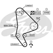 ������ ��� Citroen C8/Evasion/Jumpy / Fiat Scudo/Ulysse / Peugeot 806/807/Expert Gates 5588XS 5588XS ����