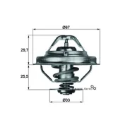��������� Mahle Original Mahle TX3880D TX3880D ����