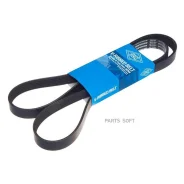 ������ ������������ SUN 6PK1555 ����