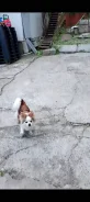 ������. ����