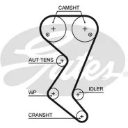 ������ ��� Citroen C4/C5 / Peugeot 206/307/407 Gates 5608XS 5608XS ����