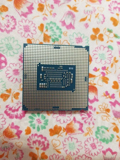 Intel Celeron G4930 ����