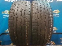 Nokian WR C3