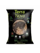 ����� 5 � ������������� � ���������� � �������� ����� ���� (TERRA NOVA) ����