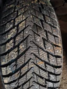 ZMax Winternova Stud II. ������, ����������, 2024 ���, ����� ����