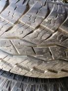 Toryo. �����������, �/�, ����� 20 % ����