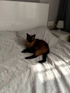 �������� �����. ����