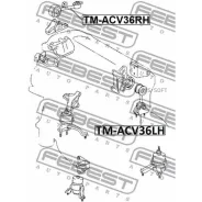 ������� ��������� ������ Toyota Camry ACV3#/MCV3# 2001-2006 TM-ACV36RH Febest TM-ACV36RH TMACV36RH ����
