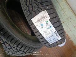 ZMax Winternova Stud III. ������, ����������, 2024 ���, ����� ����