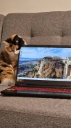 Acer Nitro 5. 15.6", ��� 16 ��, WiFi: 1, Bluetooth: 1, ����������� �� 3��. ����