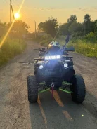 Grizzly 200. ��������, ��, �� ����