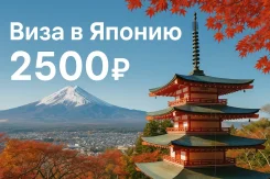 ���� � ������ 2500 ��� �� 4 ���. ���������� �� 3 ���� ����