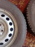 Avatyre Freeze. ������, ����������, 2019 ���, �/�, ����� 15 % ����