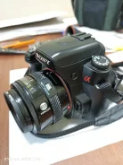 Sony Alpha DSLR-A500. 10 - 14.9 ��, ���: 3� ����