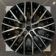 Kyoho Steiner CVX