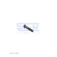 ���� ������� M24x3x140 DAF SE-M 13224 13224 ����