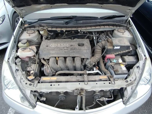 Toyota Allion. ZZT2450028587, 1ZZ FE ����