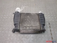 �������� ����������� Nissan Juke 2010-2019 20652751 14461EM00A ����