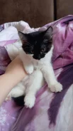 �����. ����