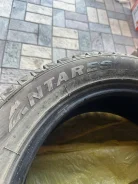 Antares Grip 60 Ice. ������, ����������, 2023 ���, �/�, ����� 10 % ����