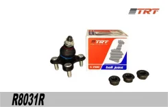 ����� �������, ������ ��� Volkswagen Passat, SEAT LEON, Volkswagen GOLF trt r8031r R8031R ����