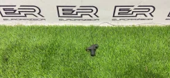 ������ ����������� Mercedes-Benz E W213/S213/C238/A238 2465842222271 A0051531328 ����