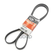 ������ ������������ Chevrolet Captiva, Epica, Nubira, Lacetti, BMW X5 (E70), X6 04- Gates ���. 6PK1893 XF 6PK1893 ����