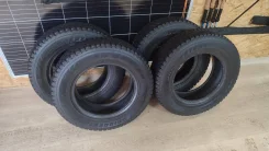 Bridgestone Winter Dueler DM-Z2. ������, ��� �����, 2006 ���, �/�, ����� 60 % ����