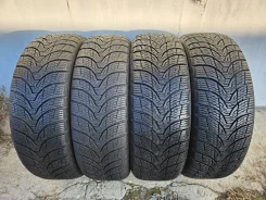 Premiorri. ������, ��� �����, 2018 ���, �/�, ����� 15 % ����