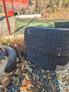 Dunlop DSX. ������, ��� �����, 2015 ���, �/�, ����� 50 % ����