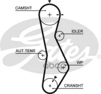 ������ ��� Hyundai Accent 1.5 CRD 01-, Elantra 2.0 CRD 01-, Santa FE 2.0 01- Gates ���. 5579XS 123x28 5579XS ����