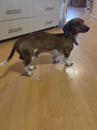 �����. ����