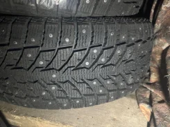 AutoGreen. ������, ����������, 2025 ���, ����� ����