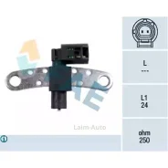 ������ ���� ��������� 79028 ����