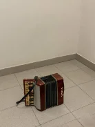 ����������. ����