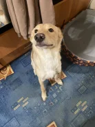 �����. ����
