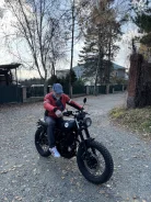 Mutt Mastiff. 250����. ��., ��������, ���������, ��� ������� ����