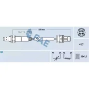 ������-���� FAE 77243 - 77243 ����