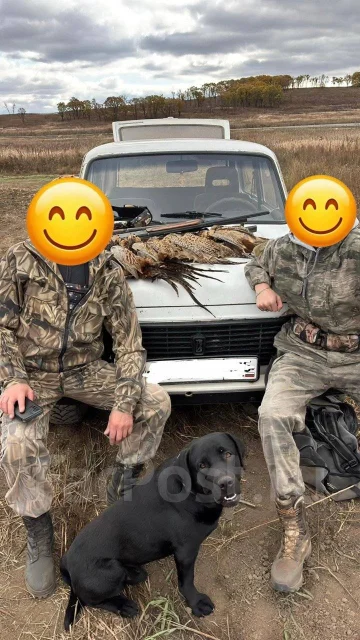 �������� ��������. ����