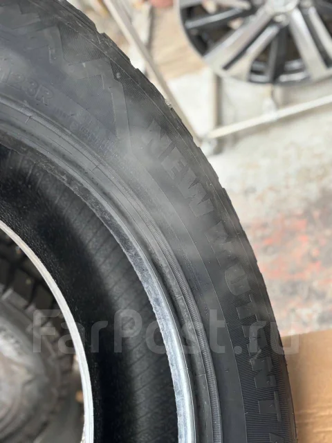 Predator New Mutant Arctic. ������, ����������, 2025 ���, ����� ����