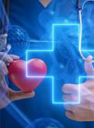 .    -33     .  ,  ,  ,   1 