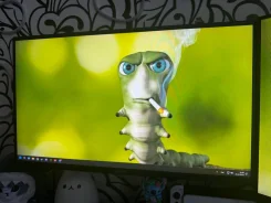 Asus. 24.5", ���������� �� (LCD, LED, QLED) ����