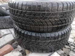 Bridgestone Winter Radial WT-17. ������, ����������, �/�, ����� 20 % ����