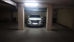 ����� �����������. ����
