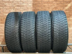 Bridgestone Blizzak DM-V2