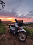 Honda Topic. 49����. ��., ��������, ��� ���, ������ �� �� ����